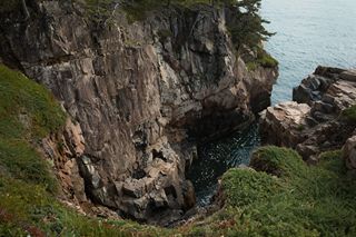 Photography by Keagen Thomson of Acadia's Schoodic District, a view of a rocky inlet from atop green cliffs