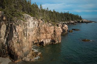 Photography by Keagen Thomson of Acadia's Schoodic District, a view of a forested oceanside cliff