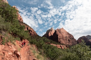 Photography by Keagen Thomson of Zion Canyon Utah, a forested rocky canyon pathway against the sky